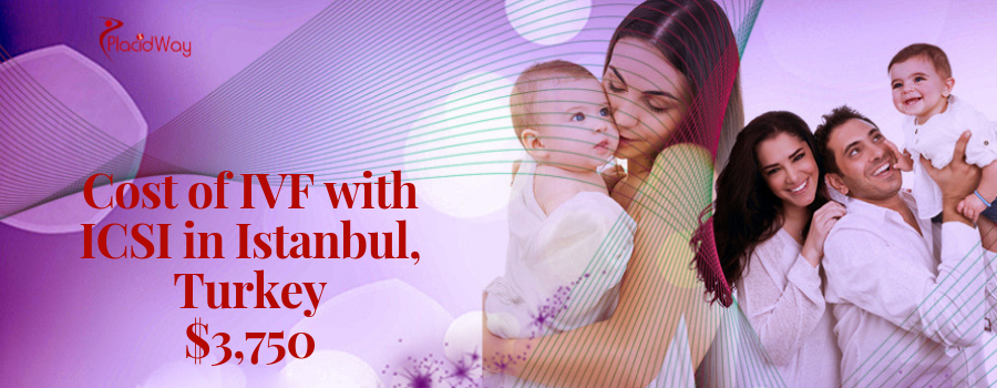IVF with ICSI in Istanbul, Turkey Cost